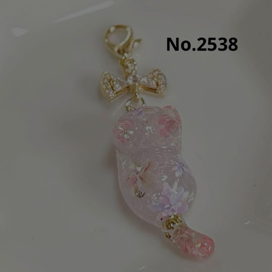No.2538