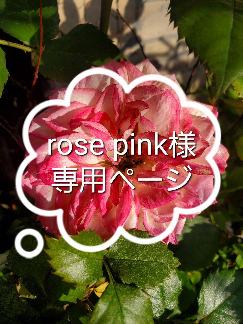 rose pink様専用ページ色鉛筆画 【即納大特価】