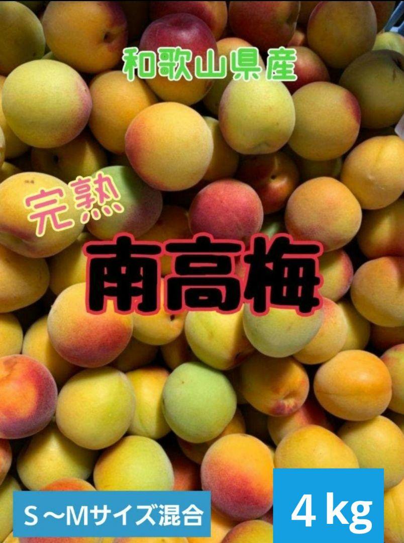 和歌山県産　完熟南高梅‼️S～Ｍサイズ混合‼️４kg　みかんキング