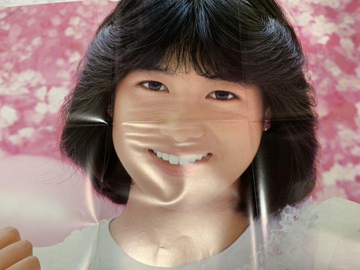 堀ちえみ LP レコード 少女 風のささやき 夢日記