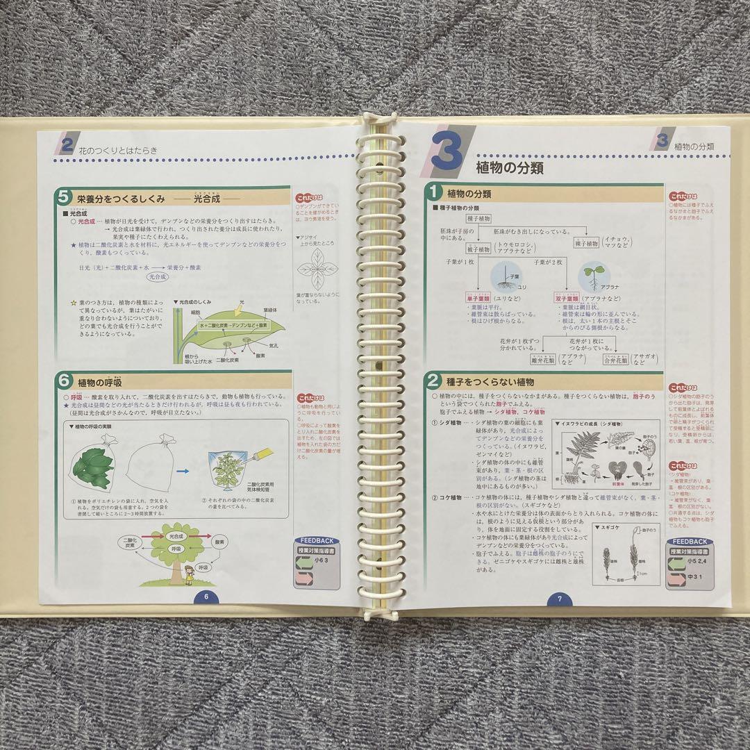 偉大な パステム 9教科 中学講座 受験対策 語学・辞書・学習参考書