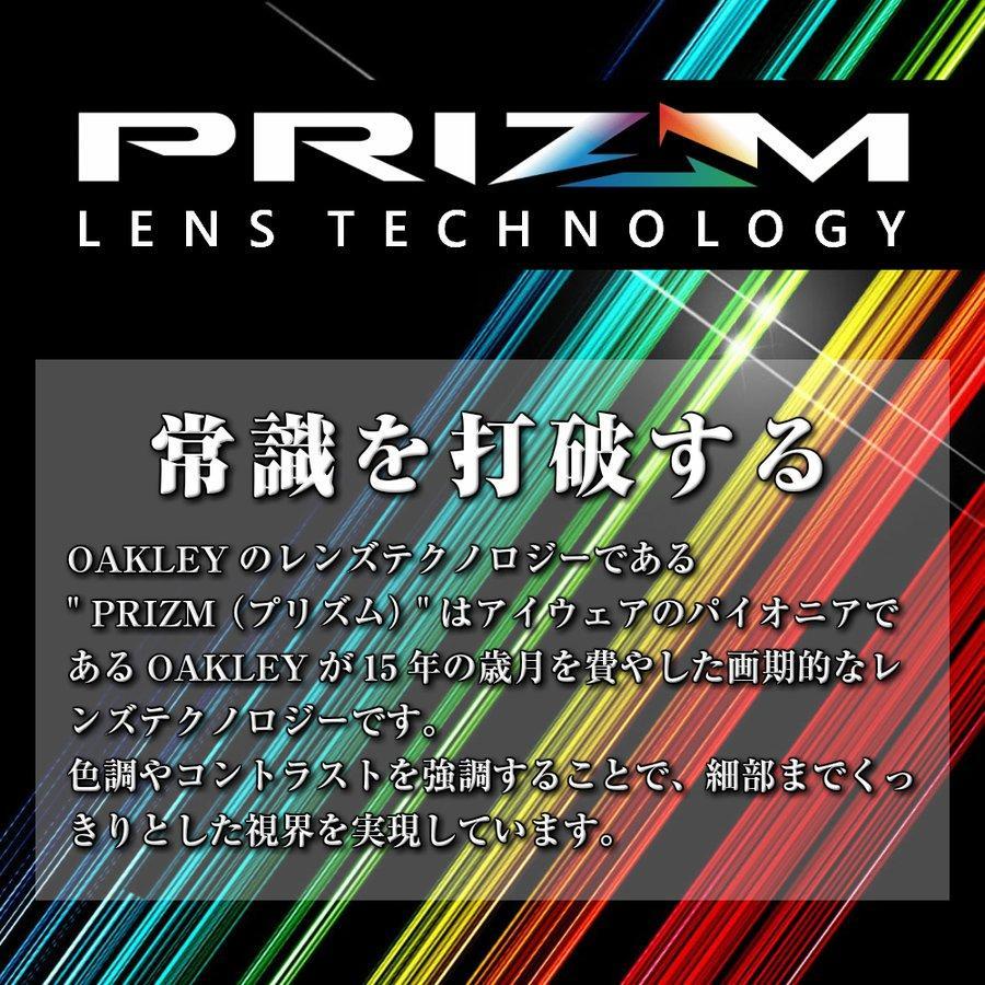OAKLEY 偏光サングラス フロッグスキン OO9245-87 オークリー