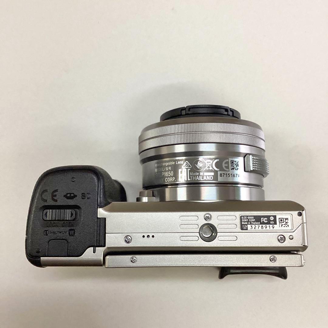 SONY α6000