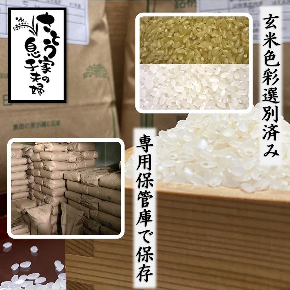 新米 山形県庄内産 つや姫 玄米25kg Gセレクション 特