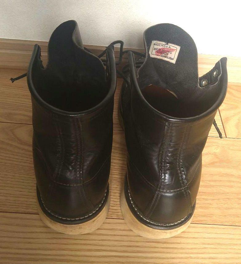 8179 アイリッシュセッター