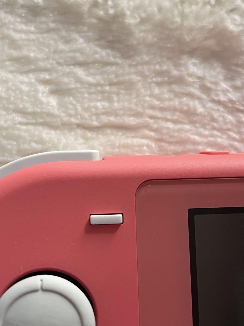 Nintendo Switch Lite 本体 動作品 2021 充電器付き