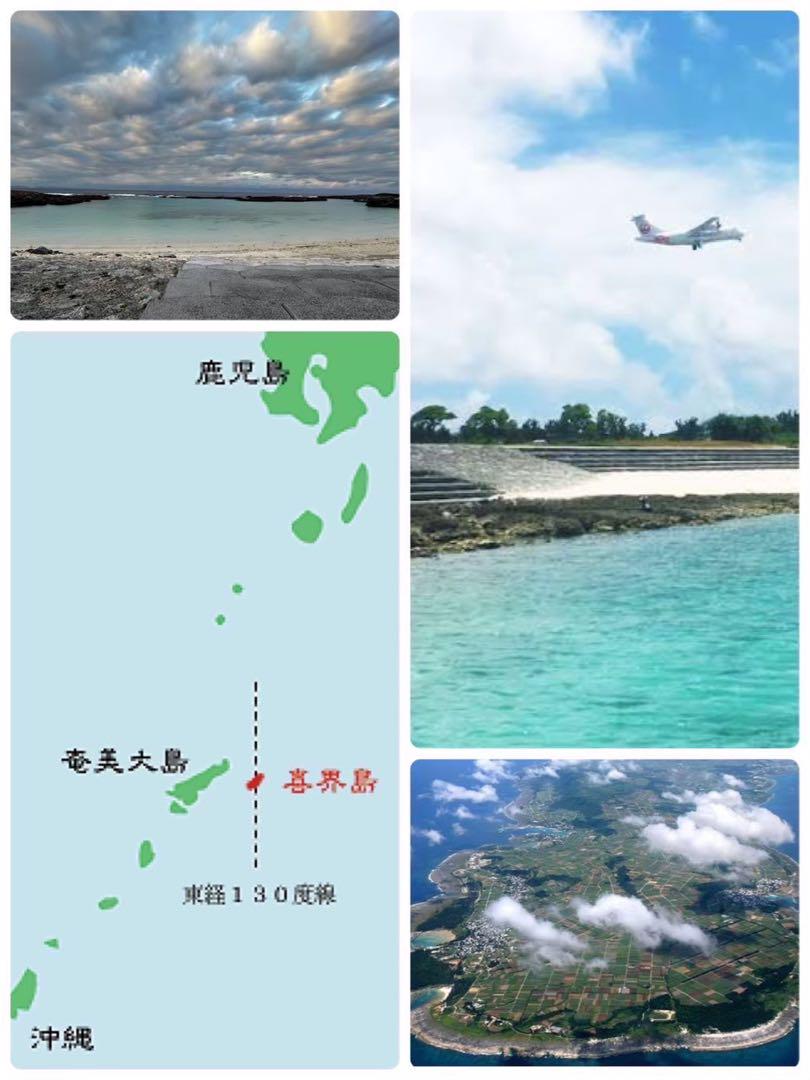 喜界島 百花蜜 3kg 蜂蜜 国産(発送まで1週間かかります)