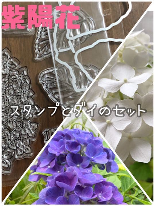 限定special Price 紫陽花 アジサイ あじさい クリアスタンプ ダイスクラップブッキング 新品 花 Www Anavara Com 限定special Price 紫陽花 アジサイ あじさい クリアスタンプ ダイスクラップブッキング 新品 花 Www Anavara Com