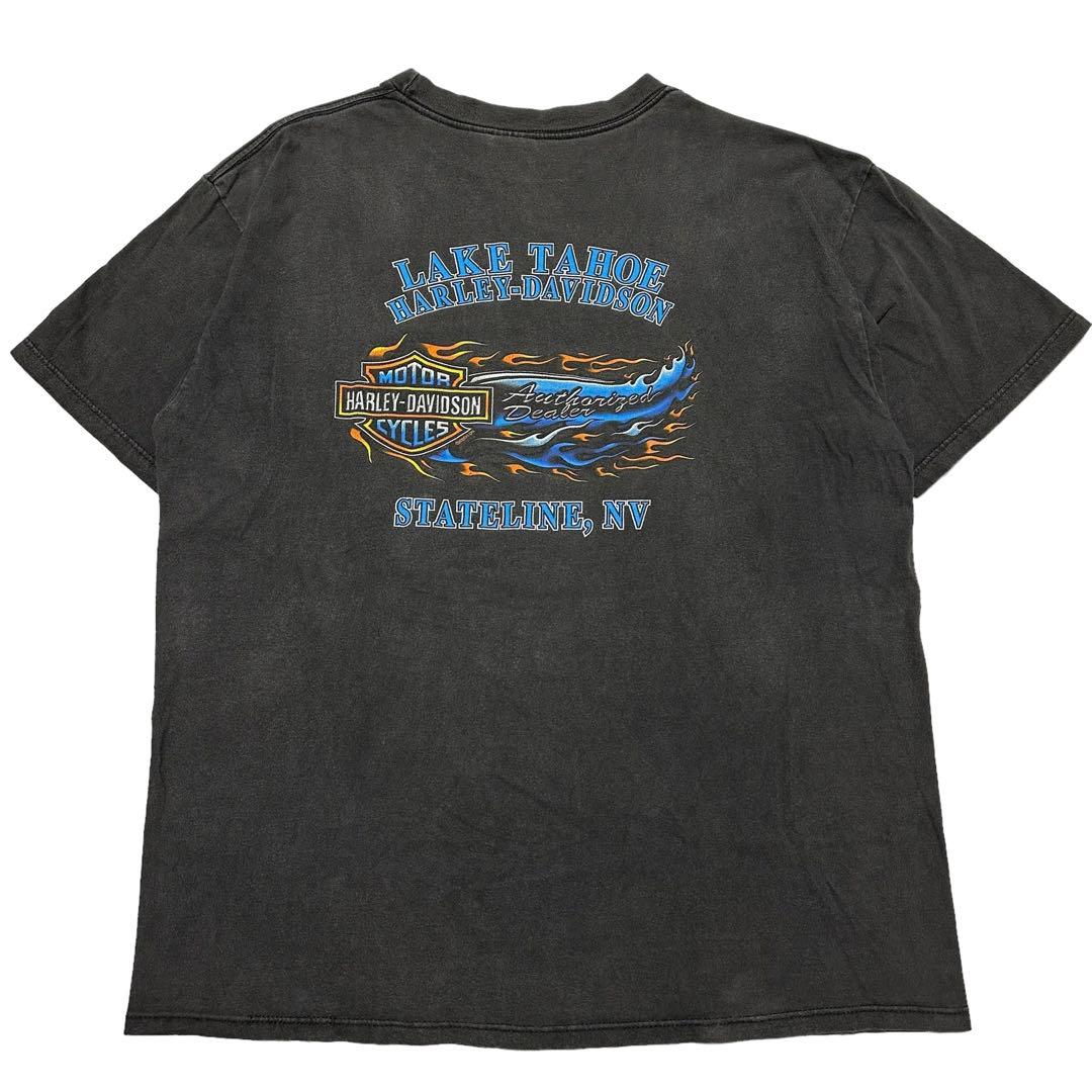 【00s】USA製　ハーレーダビッドソン　ブルーフレイム　HOLOUBEK製