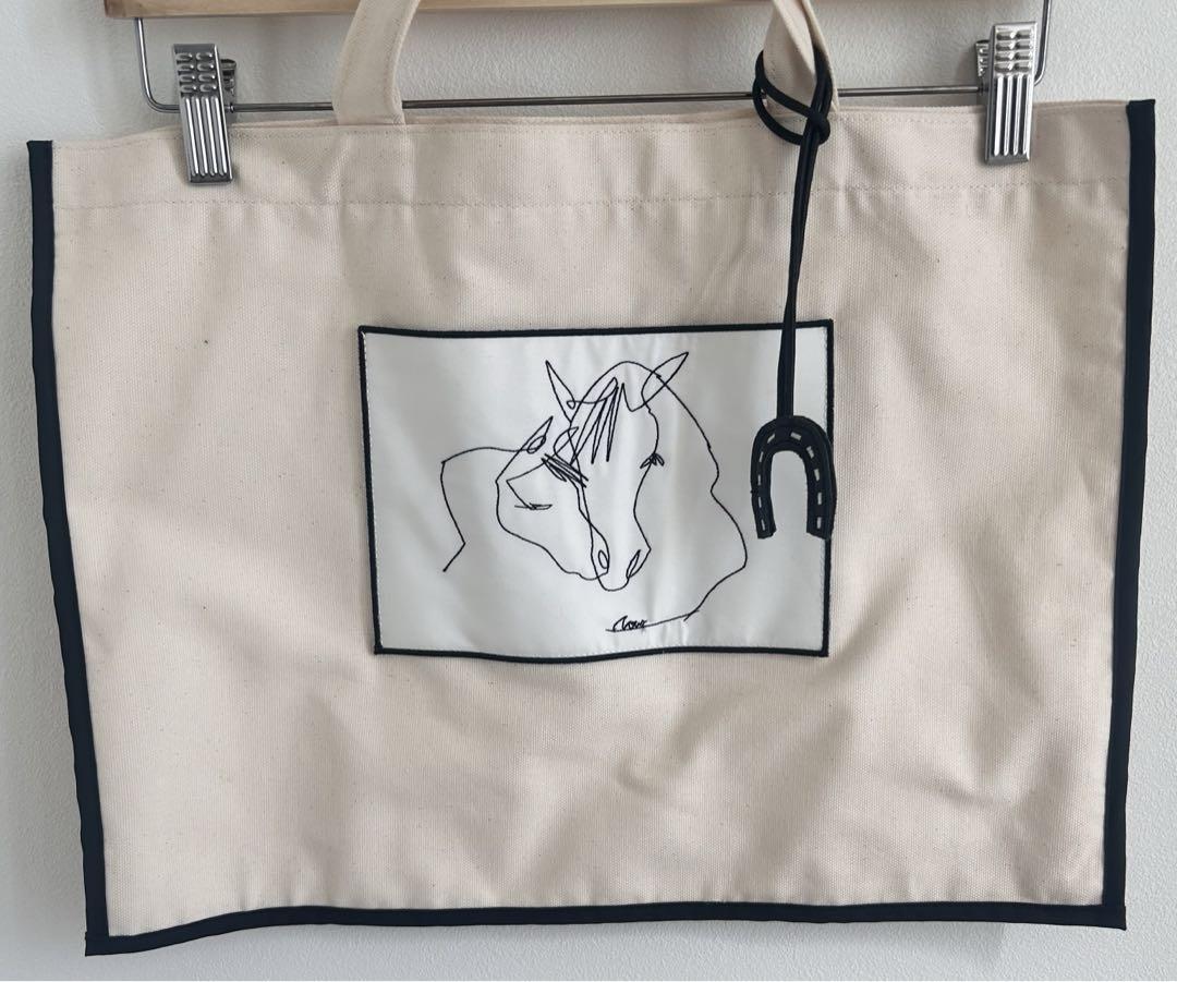 AC-034 Lesson Bag | gypsohila