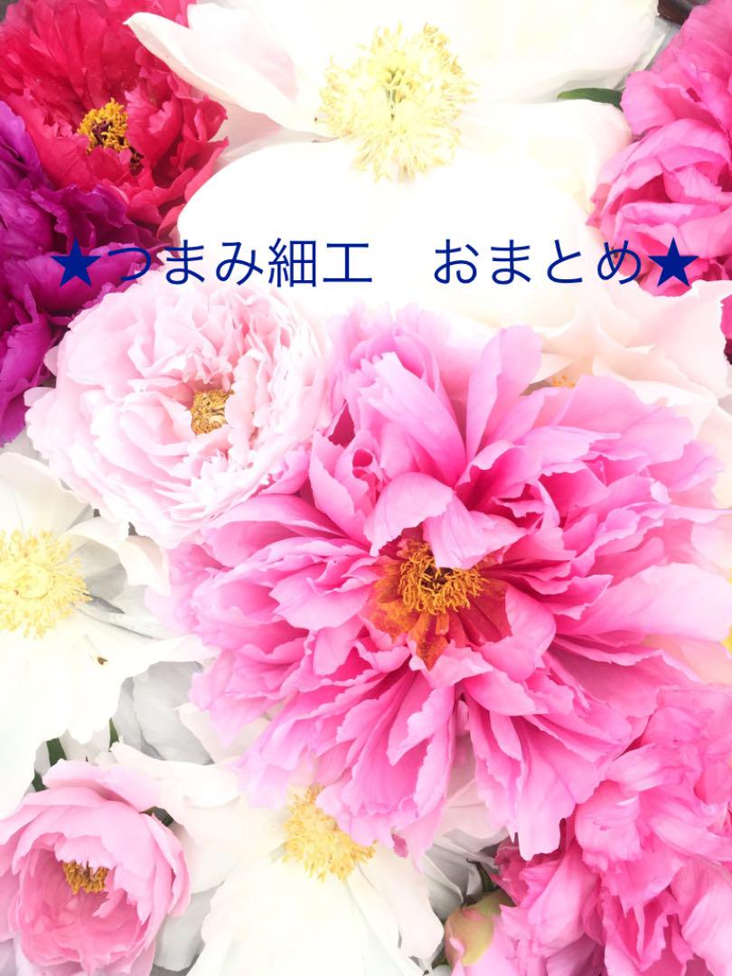 オンラインストア購入 【つまみ細工「はじめてさんのきほんのき」①〜⑥】 オンラインストア購入 【つまみ細工「はじめてさんのきほんのき」①〜⑥】