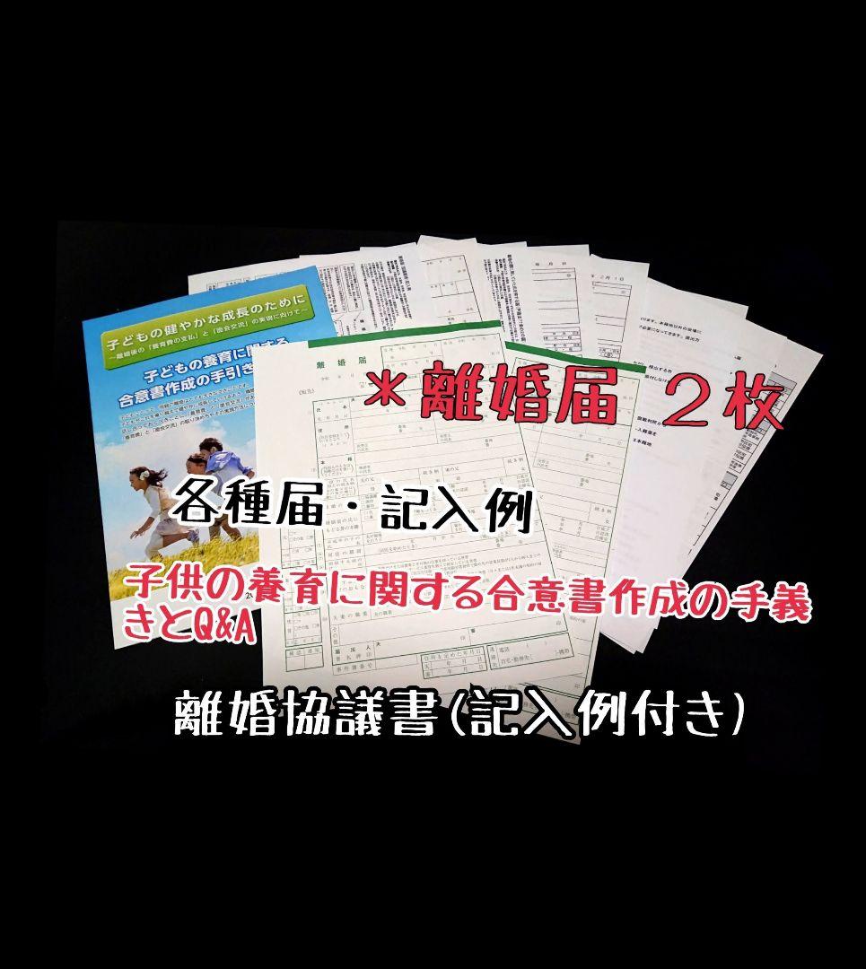 d９２９離婚届　各種届　詳細記入例　カタログ付き