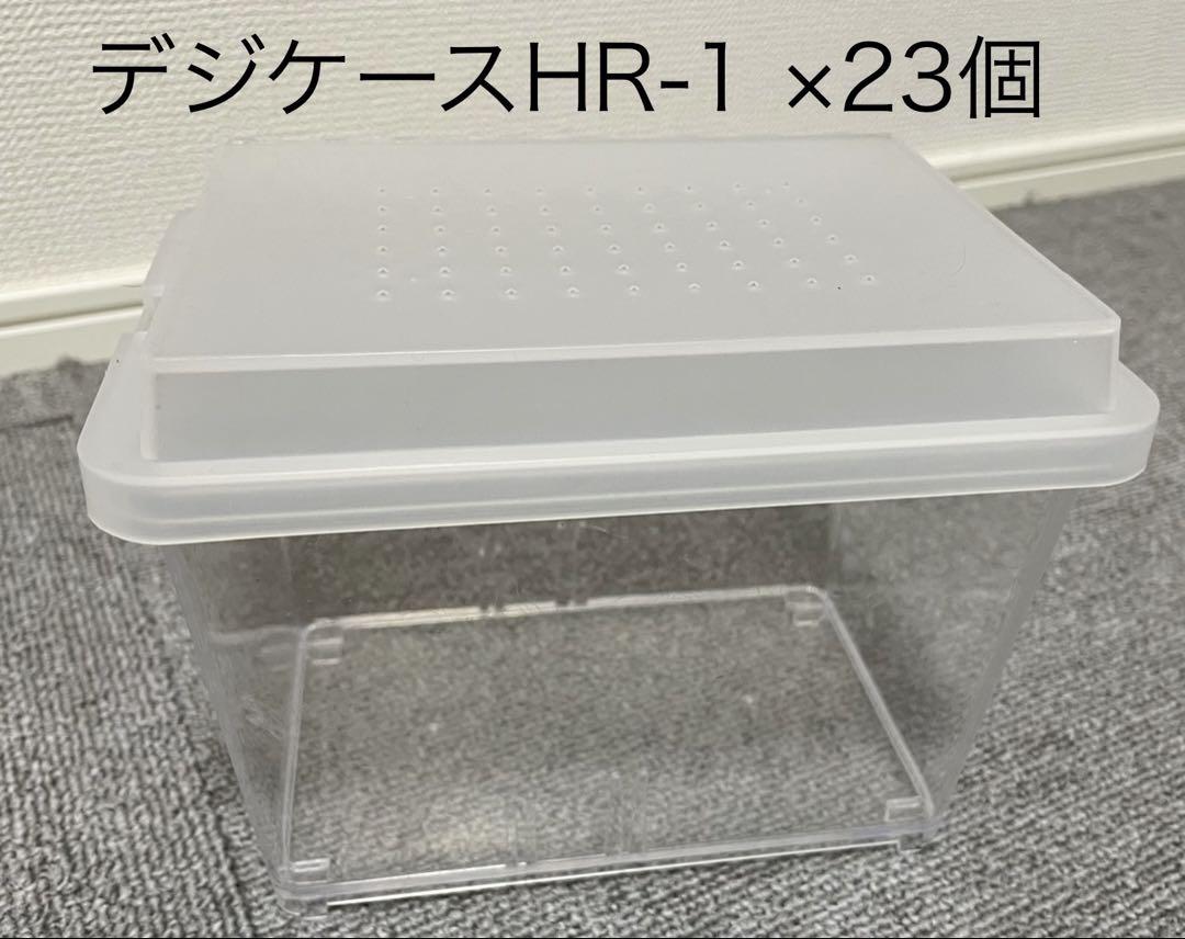 カブトムシ