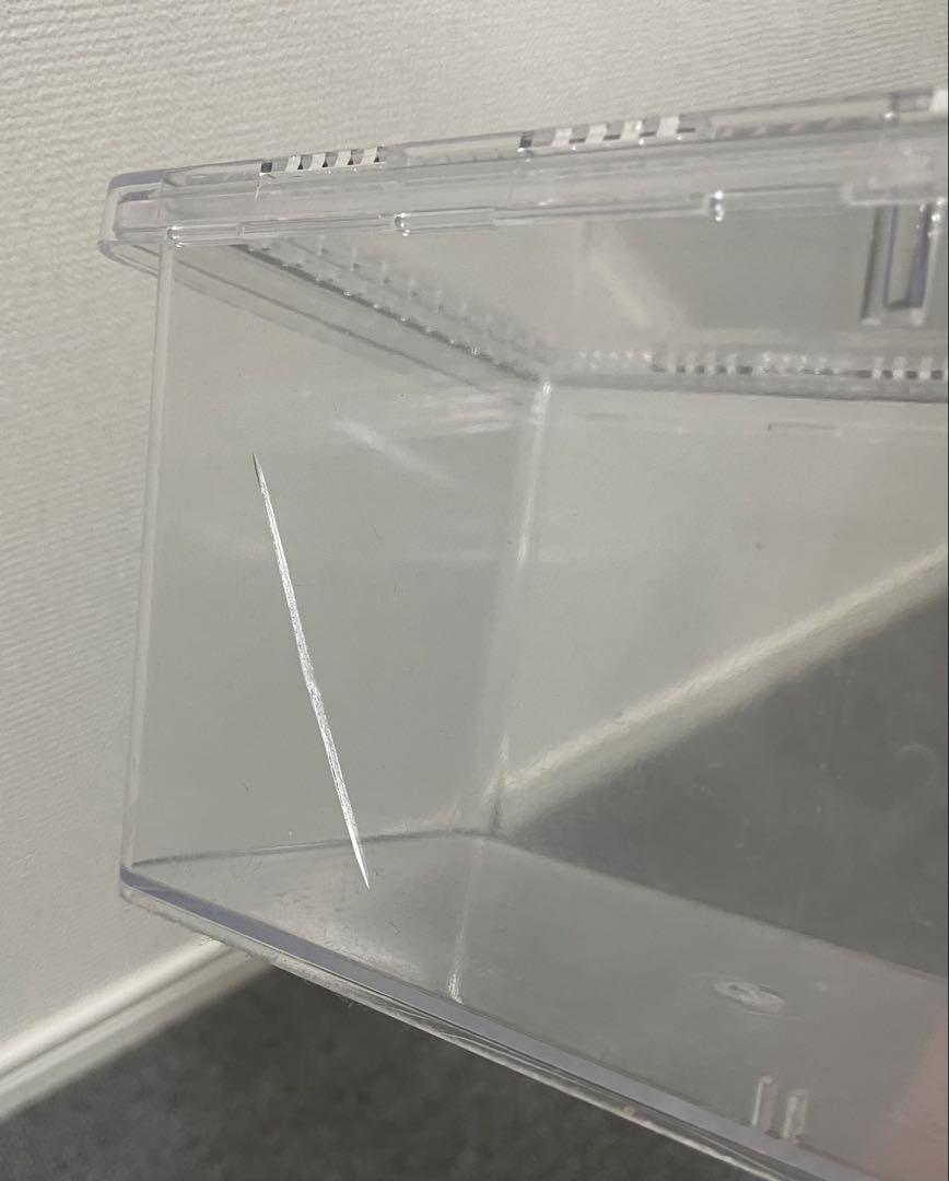クワガタ