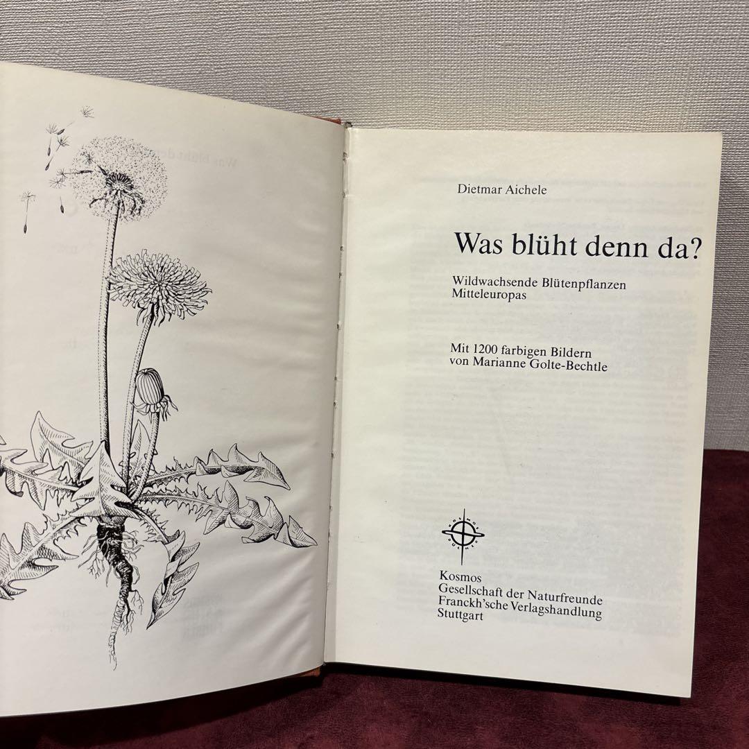 ❤️セール78B⑩ビンテージ植物図鑑 洋書古書 ボタンニカル