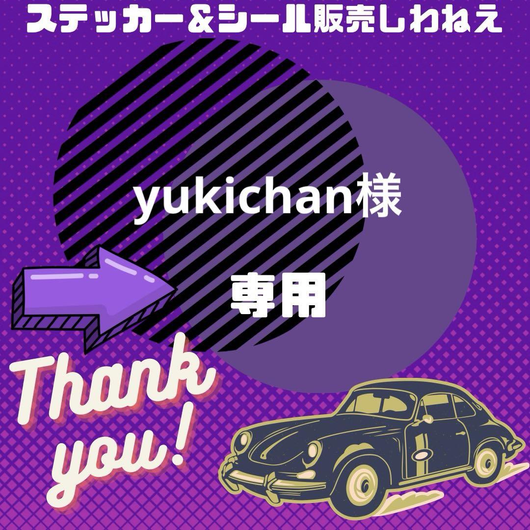 yukichan様専用　オーロラ