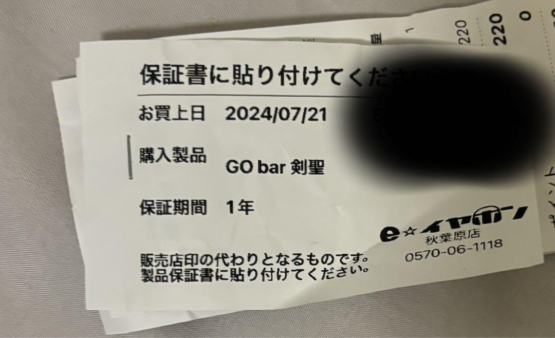 IFI Audio GO bar 剣聖 + LEPIC DAC POCKET 画像3