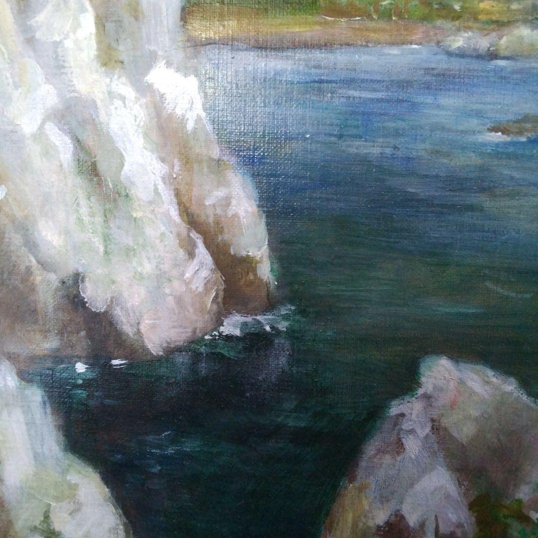 睡蓮。保田三友紀の油絵F4号。古典絵画値下げしました。 保田三友紀の油絵処分品。和歌山県白崎海岸 F4号額縁無し。最終