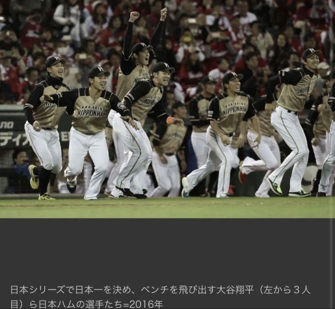 北海道日本ハムファイターズ　大谷翔平選手ユニフォーム　2013WLH限定モデル 北海道日本ハムファイターズ 大谷翔平 限定刺繍ユニフォーム