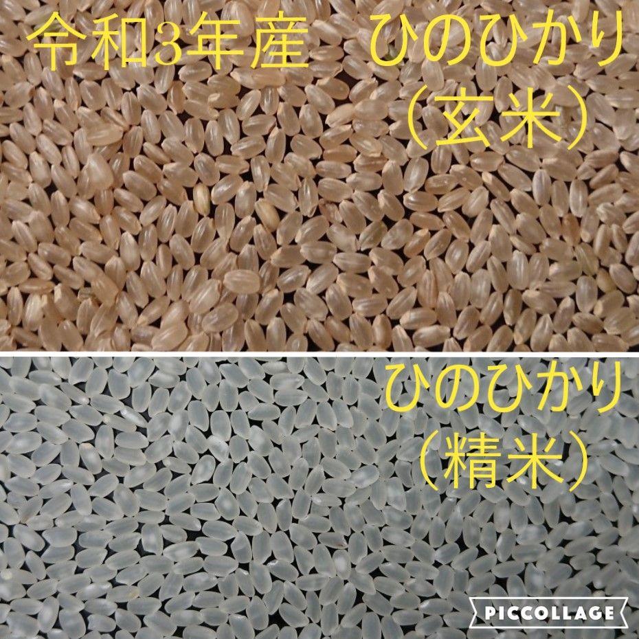 魅力的な 晴れの国岡山のお米《ヒノヒカリ10kg》 www.anavara.com 魅力的な 晴れの国岡山のお米《ヒノヒカリ10kg》 www.anavara.com