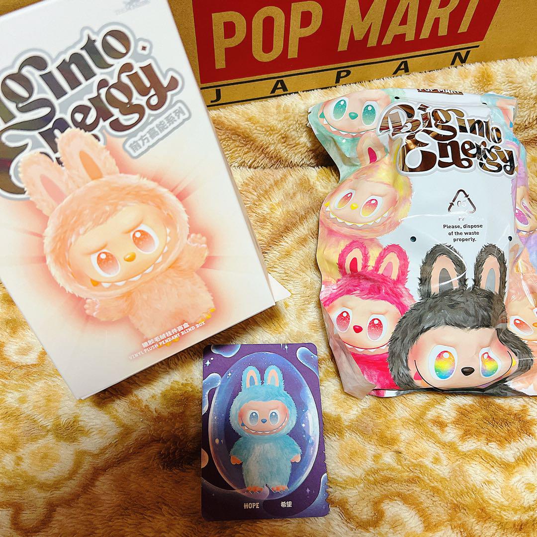 ぬいぐるみ・マスコット THE MONSTERS Big into Energy LABUBU hope