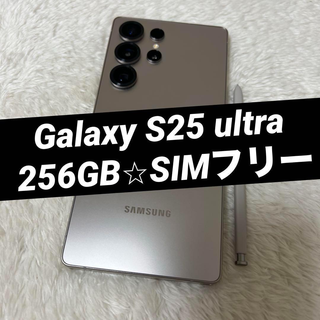 Galaxy S25 ultra グレー 256GB 美品 e40