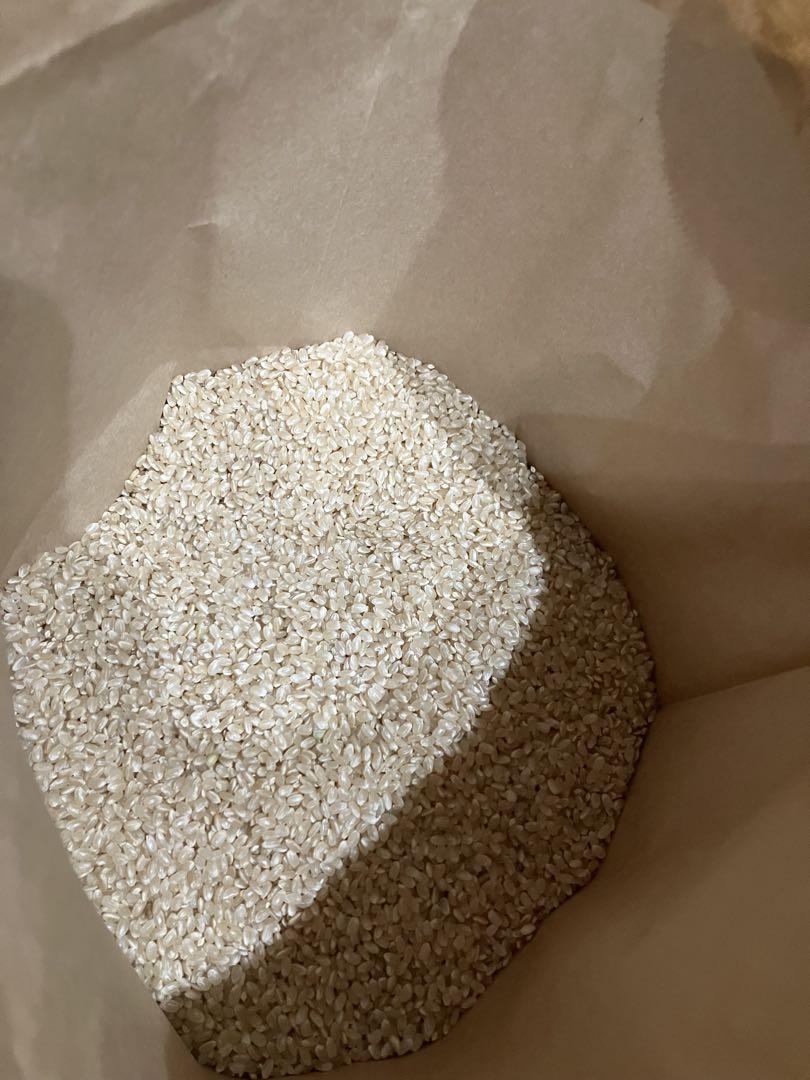 【長野県産】自慢のお米 玄米　10kg