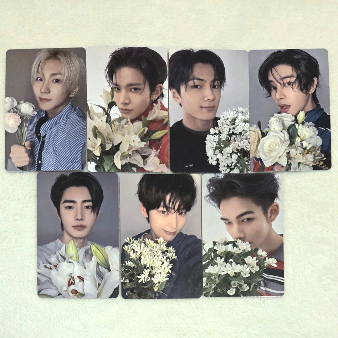 ENHYPEN トレカ weverse 特典 7形態 ソロジャケ コンプ セット
