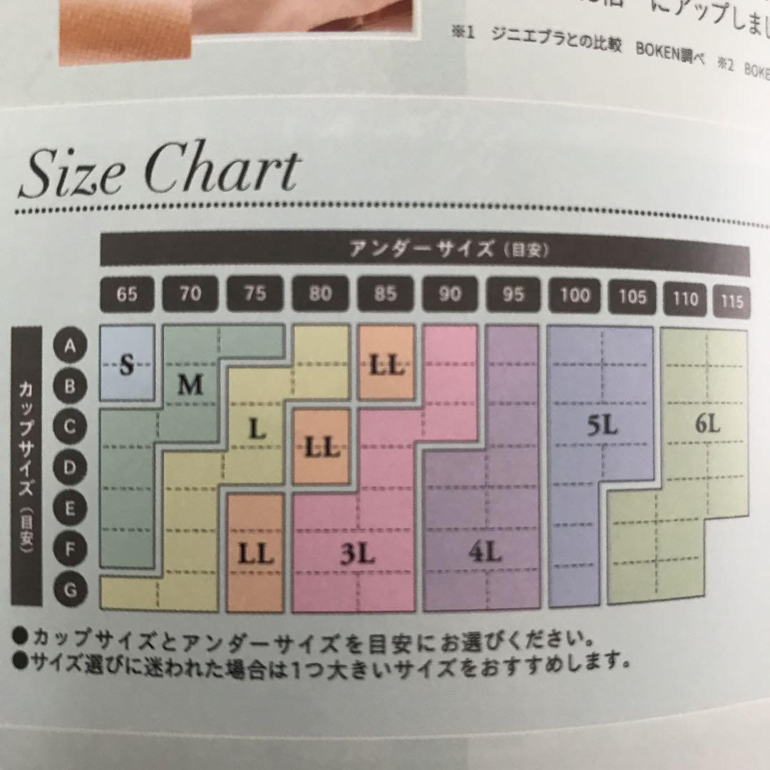 限定品低価 さんちゃん様専用商品 Mサイズ3枚セット Z2GId-m13297430882 ジニエシークレットブラ 日本製