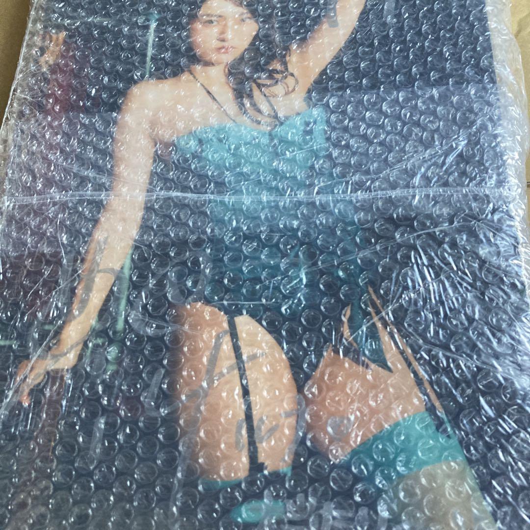 豊田ルナ　サイン入り　チェキ　パネル　タペストリー　当選品　セット　おまけ付き 豊田ルナ サイン入り チェキ パネル タペストリー 当選品 セット
