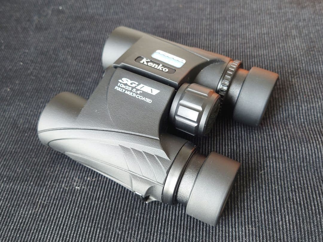 Kenko SG EX 10×25 DH WP 防水 双眼鏡 付属品あり