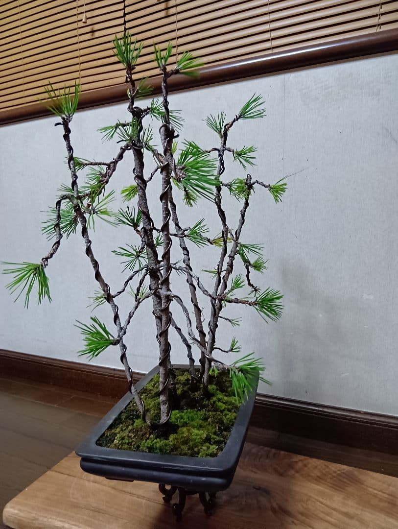 黒松寄せ植え げやや傷や汚れあり