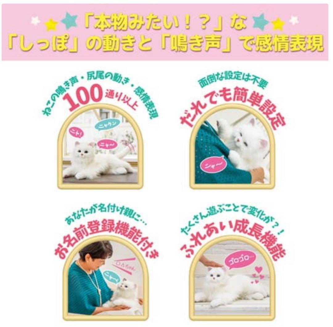 あまえんぼうねこちゃんぬいぐるみ あまえんぼうねこちゃんぬいぐるみ