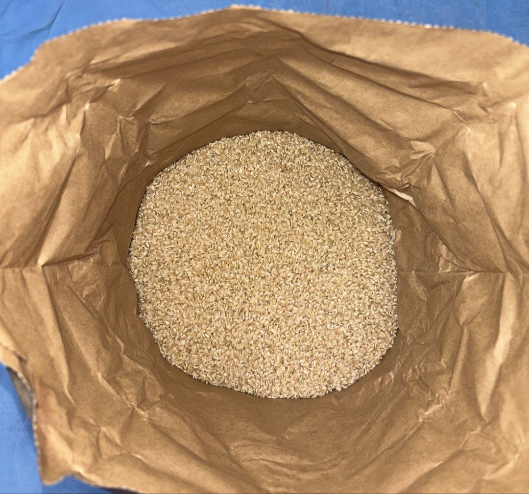 コシヒカリ　15kg 三重県産　2024年　令和6年　玄米　お米