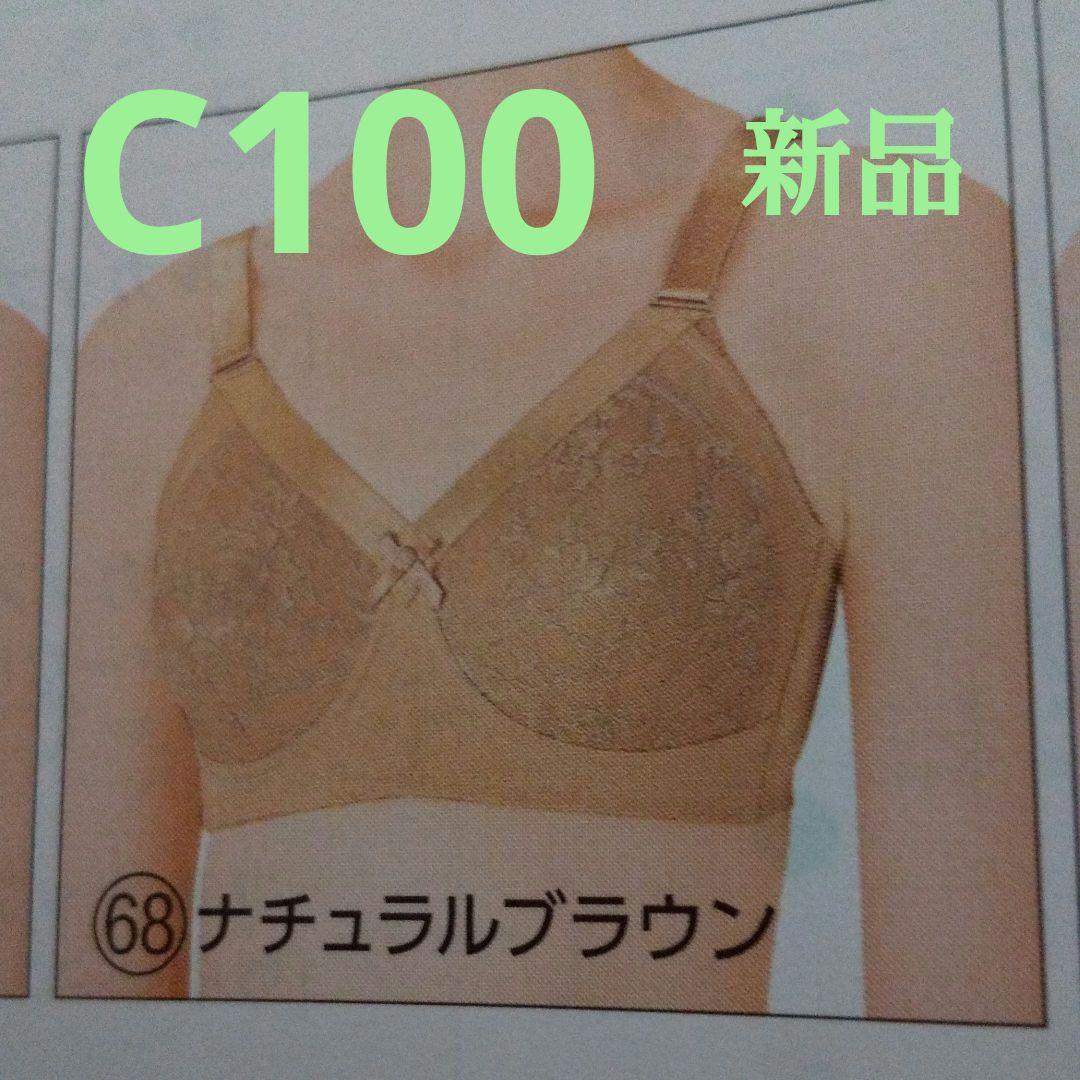 しっかり補整・ロングセラーブラジャー ＜Cシリーズ＞ FA023