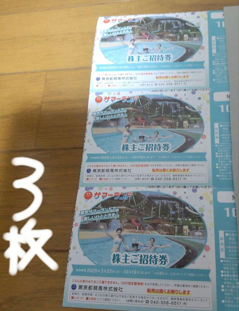 3枚　夏季利用可　サマーランド　１デイパス　株主ご招待券