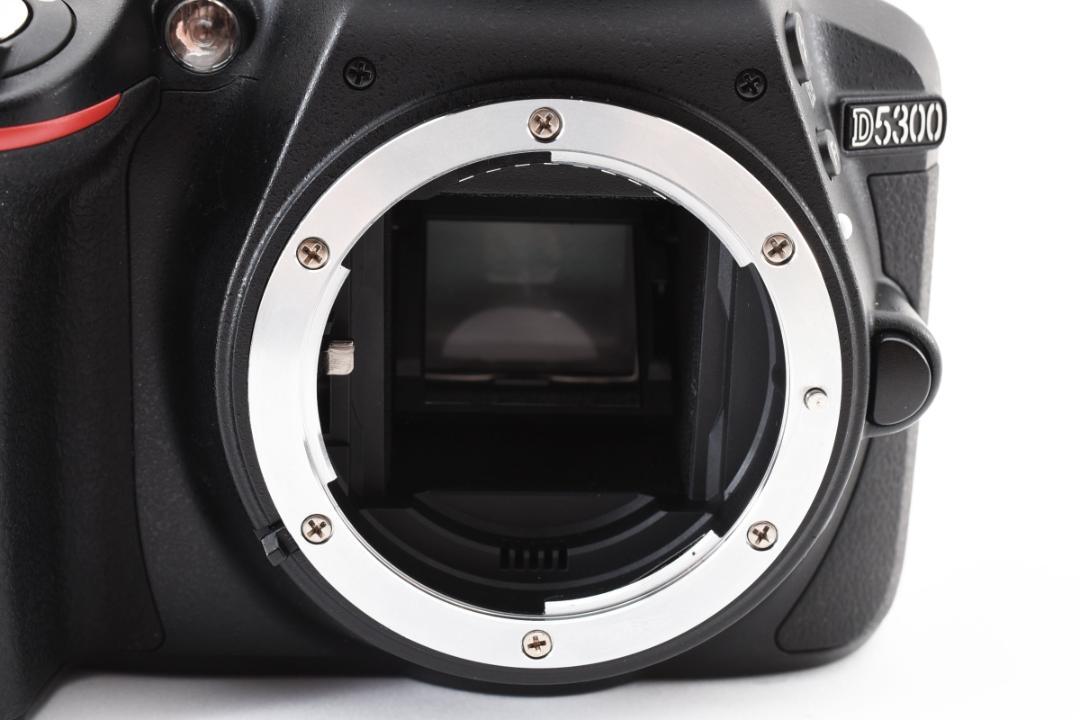 Nikon D5300 AF-P ダブルズームキット#0101,02,03