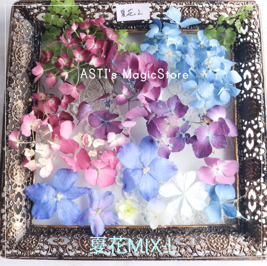 週末セール！ ドライフラワー 夏花 MIX-L （紫陽花他） - メルカリ