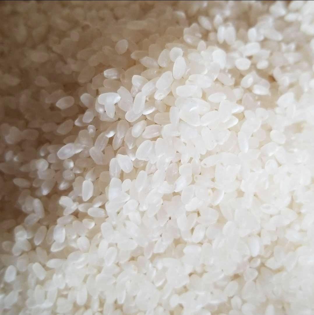 令和6年 熊本県産ヒノヒカリ20Kg 玄米可
