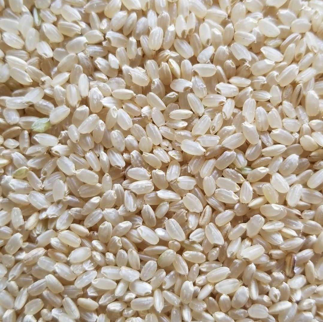 令和6年 熊本県産ヒノヒカリ20Kg 玄米可