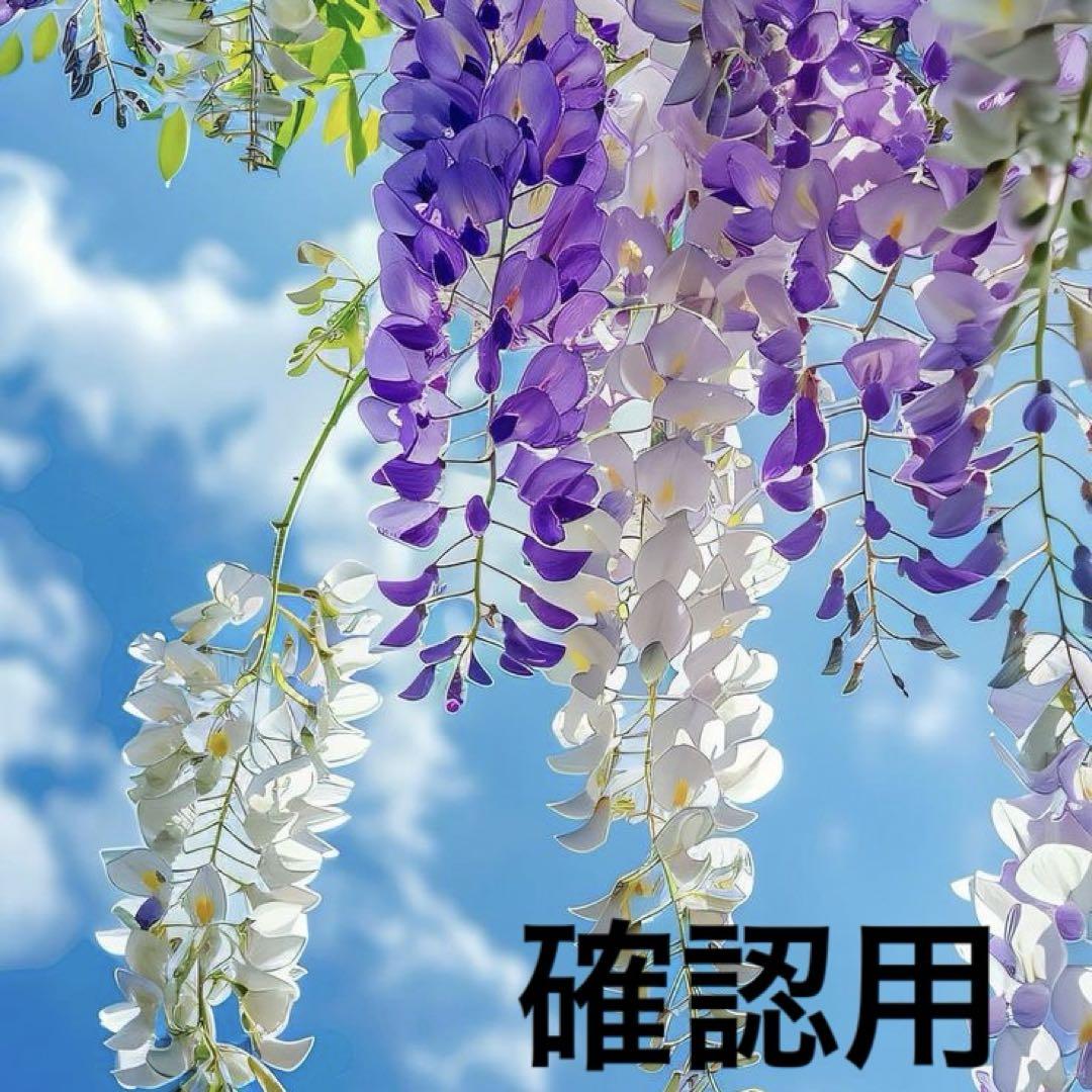 さくら様オーダー専用 BOOK その他