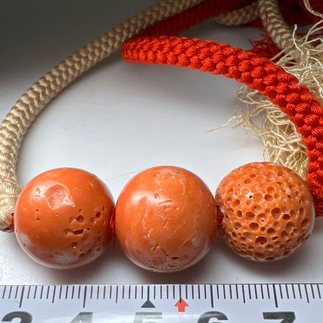 本赤珊瑚 大玉帯留 35g 東Y7-1105ア タトチやや傷や汚れあり