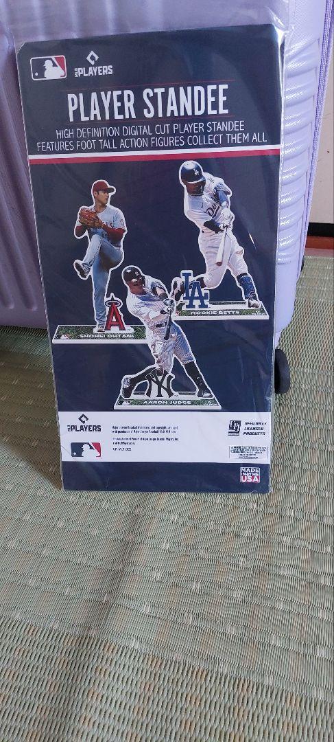 ドジャース大谷翔平　スタンディー