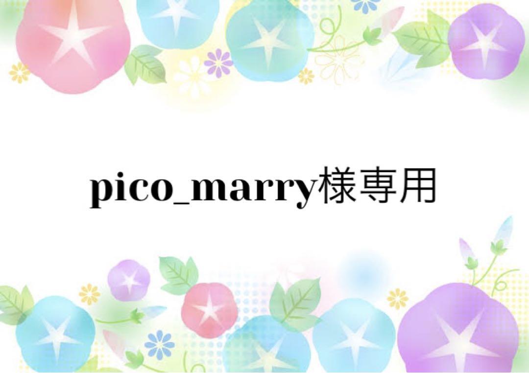 0円 い出のひと時に、とびきりのおしゃれを! pico_marry様専用出品です おまとめ割後のお値段です 0円 い出のひと時に、とびきりのおしゃれを! pico_marry様専用出品です おまとめ割後のお値段です