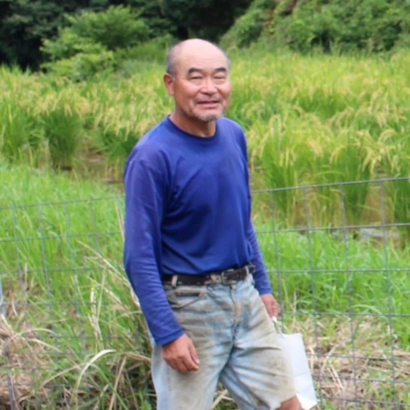 【新米】【令和６年産】自然栽培「金のいぶき」玄米　２０ｋｇ