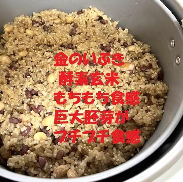 【新米】【令和６年産】自然栽培「金のいぶき」玄米　２０ｋｇ