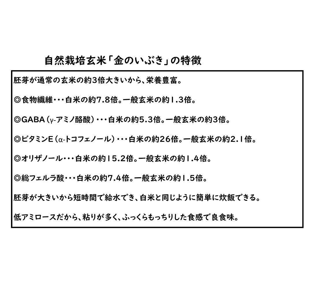 【新米】【令和６年産】自然栽培「金のいぶき」玄米　２０ｋｇ