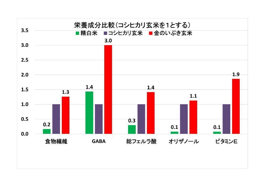 【新米】【令和６年産】自然栽培「金のいぶき」玄米　２０ｋｇ