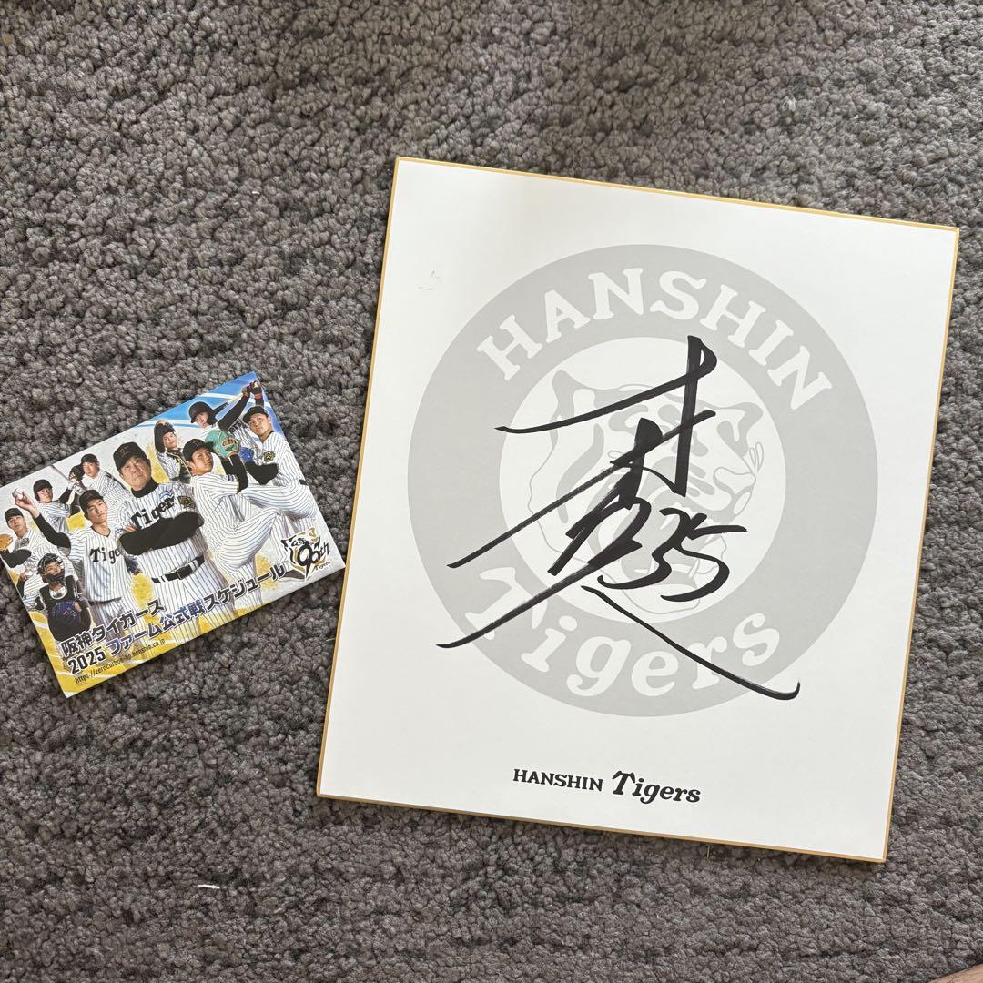 阪神タイガース 才木浩人 35 直筆サイン色紙 入団直後サイン