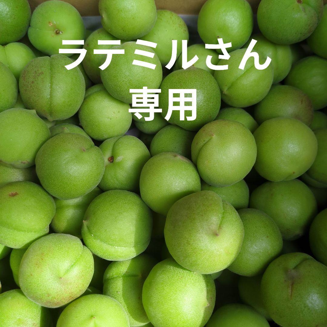 高田梅 ラテミルさん専用